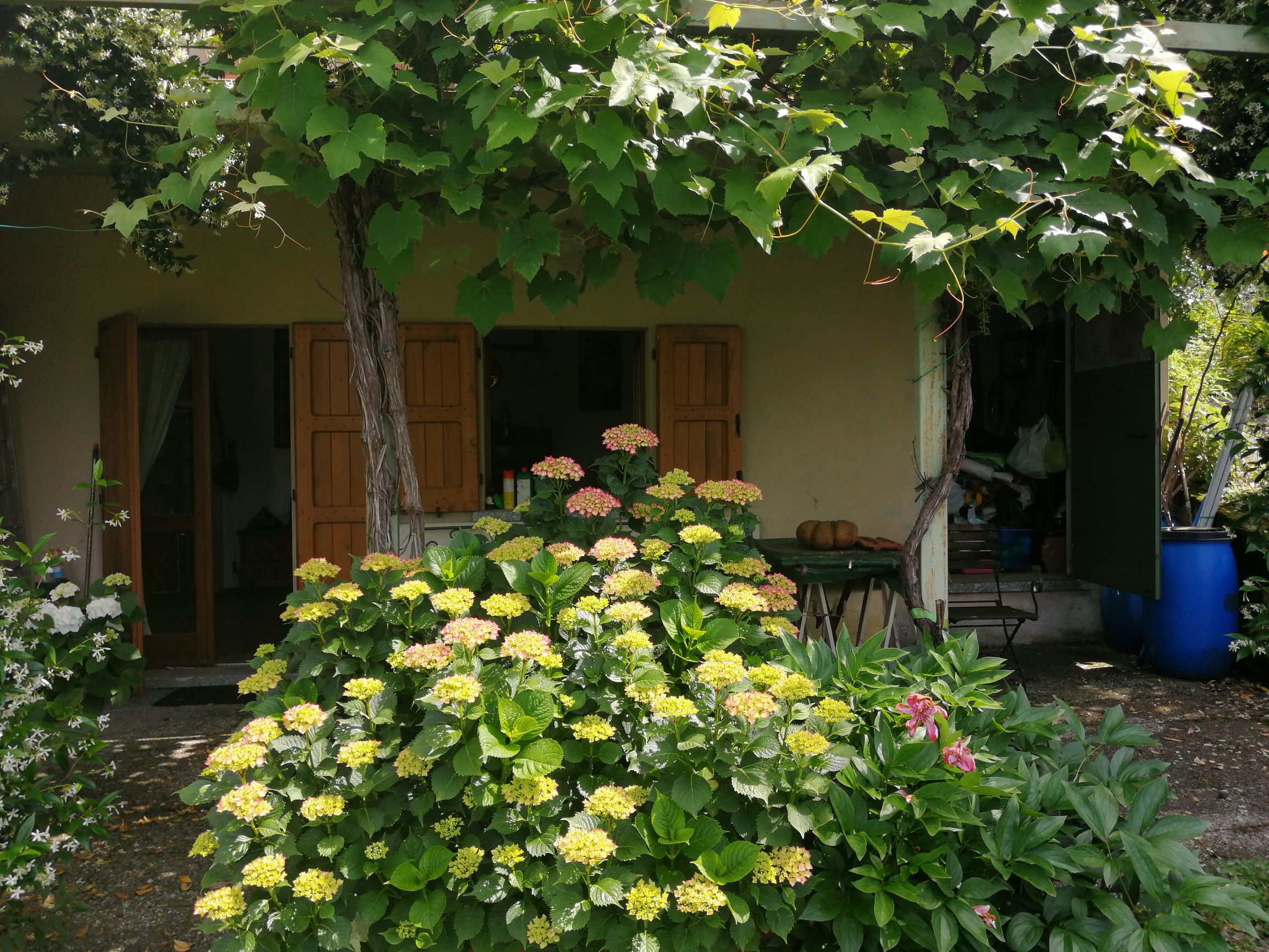 Foto28